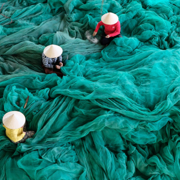 Corporate Share Transactions