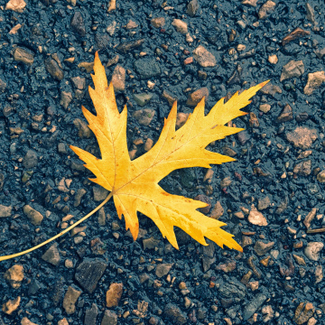 Add Subsidiaries for Financial Statements